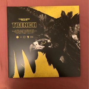 Twenty One Pilots vinyl record